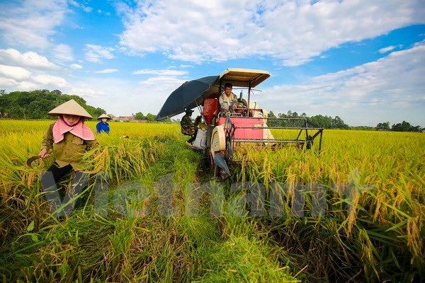 Thủ tướng đốc thúc thực hiện giải pháp phát triển kinh tế-xã hội