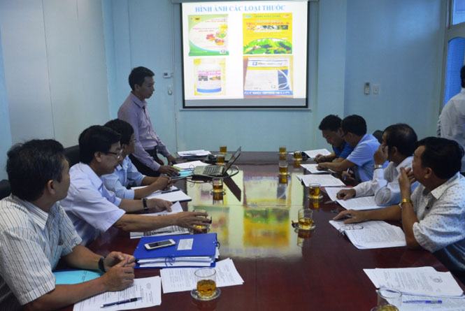 Ứng dụng chế phẩm sinh học phòng trừ bệnh chết nhanh trên cây hồ tiêu