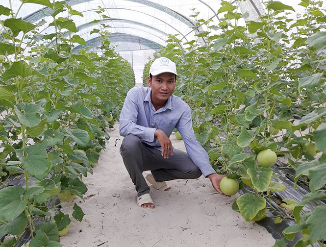 Để nhãn hiệu gắn liền nông sản