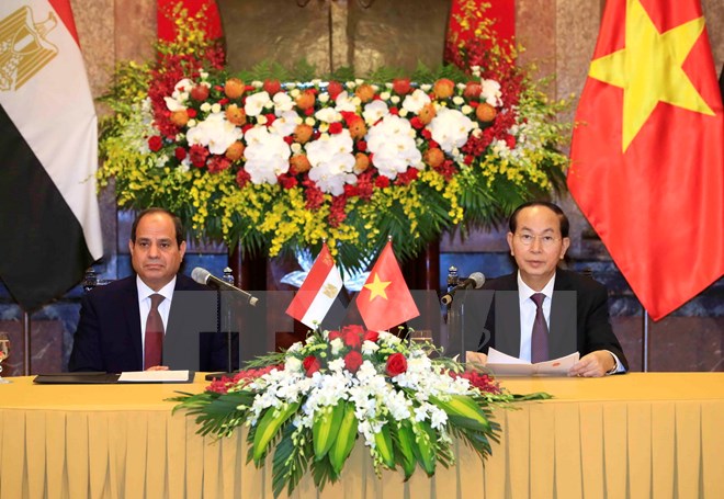Chủ tịch nước Trần Đại Quang hội đàm với Tổng thống Ai Cập