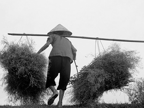 Mẹ tôi