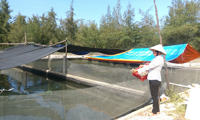 HĐND huyện Lệ Thủy: Phát huy vai trò đại diện ý chí, nguyện vọng của dân