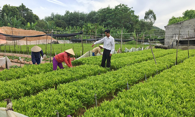 "Xứ họ đạo an ninh"- mô hình của lòng tin và sự đoàn kết