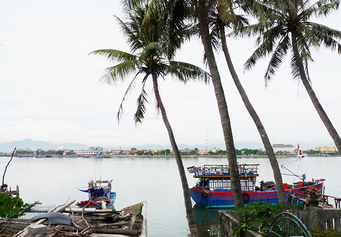 Bảo Ninh