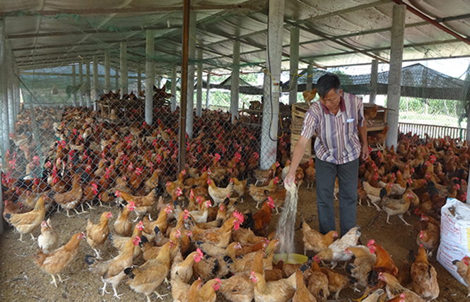 Khi Mặt trận chung tay xóa đói giảm nghèo