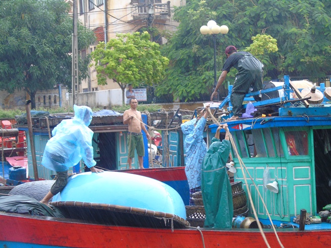 Các địa phương, đơn vị ứng phó bão số 10 theo phương châm "4 tại chỗ"