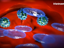 [Videographics] Vì sao con người cần thiết phải tiêm chủng?