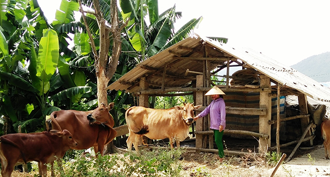 Phòng giao dịch NHCSXH thị xã Ba Đồn: Đồng hành cùng thanh niên lập nghiệp