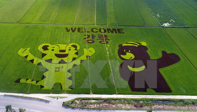 Tổng thống Hàn Quốc cam kết đảm bảo an toàn cho Olympic mùa Đông 2018