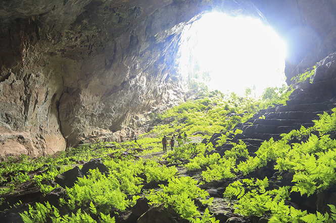 Khám phá hang Đại Ả, hang Over và hang Pygmy
