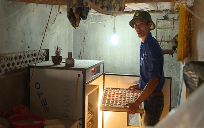 Về làng lập nghiệp