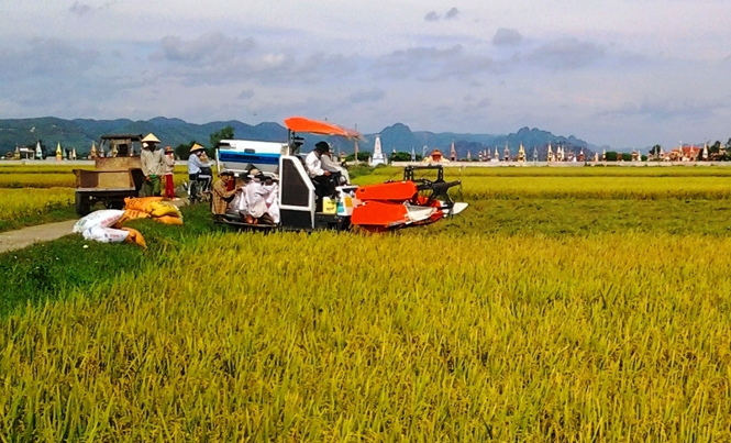 Thị xã Ba Đồn: 100% diện tích đất canh tác được cơ giới hóa