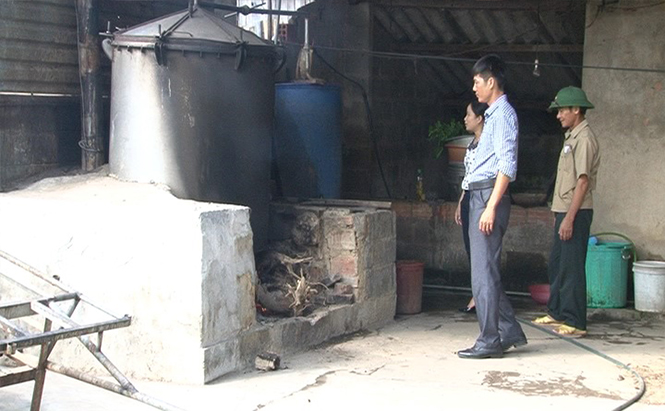Triển vọng từ sản xuất tinh dầu sả