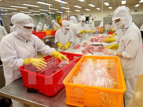 Cảnh báo nguy cơ EU "rút thẻ vàng" đối với thủy sản Việt Nam