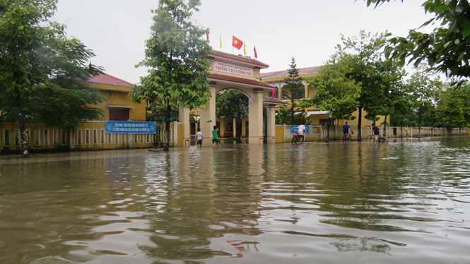 Các trường học theo dõi, chủ động cho học sinh nghỉ học khi lũ đến