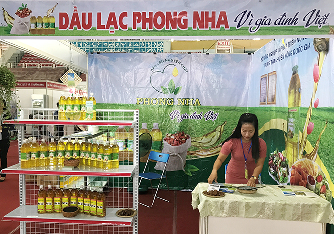 Xây dựng chuỗi giá trị nông sản bền vững - Bài 2: Khẳng định hiệu quả từ chuỗi giá trị