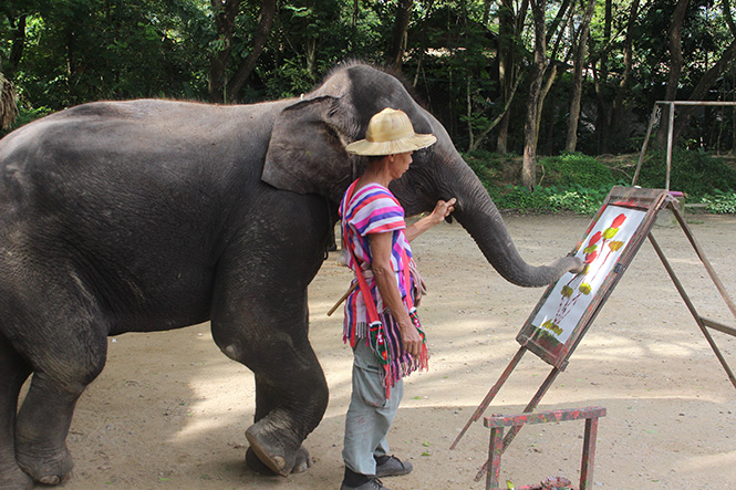 Chiang Mai, Chiang Rai du ký - Kỳ 2: Trông người mà ngẫm...