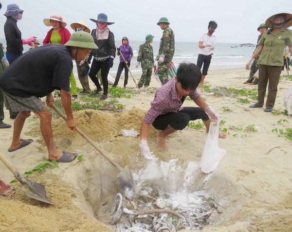 Cơ bản hoàn thành chi trả bồi thường sự cố 4 tỉnh miền Trung