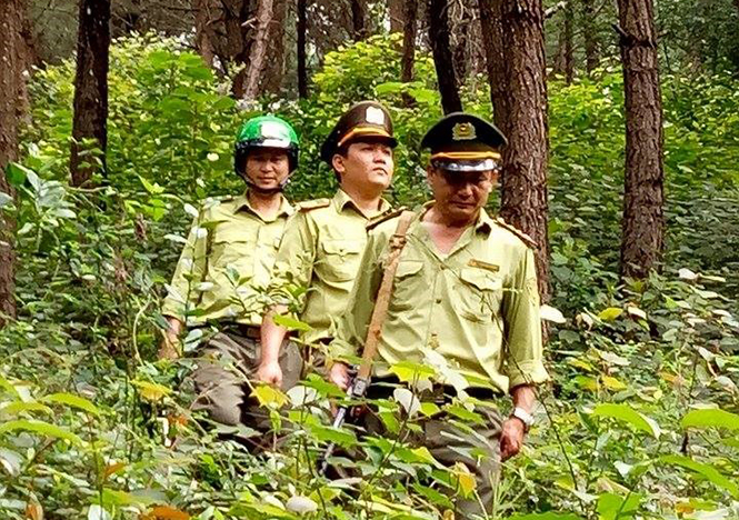 Quảng Ninh: Giao khoán xã Trường Sơn và Trường Xuân bảo vệ 16.116ha rừng