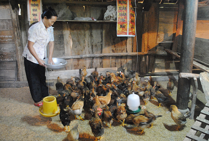 Đẩy mạnh công tác giảm nghèo ở Mai Hóa