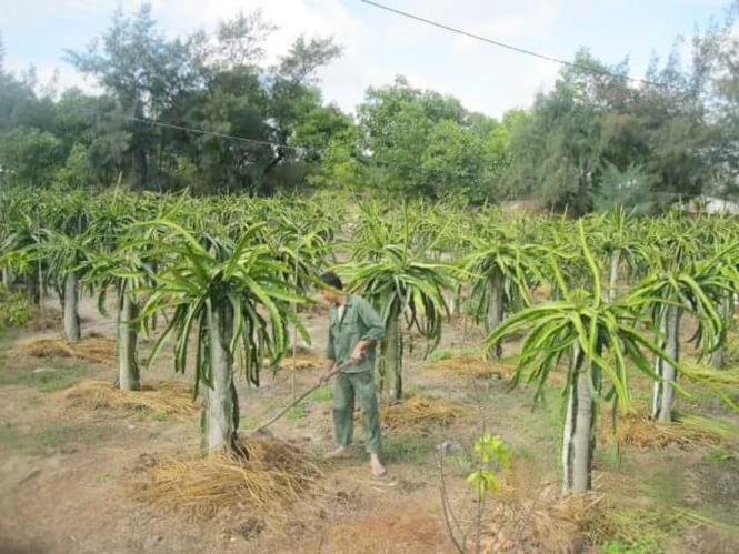 Quảng Ninh: Giảm được 1,18% hộ nghèo