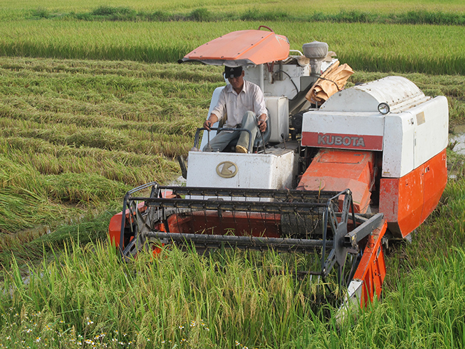 Đảng bộ huyện Quảng Trạch: Tiếp tục nâng cao năng lực lãnh đạo