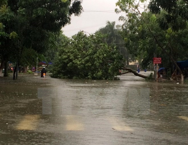 Không khí lạnh tăng cường, các tỉnh từ Nghệ An đến Quảng Nam mưa to