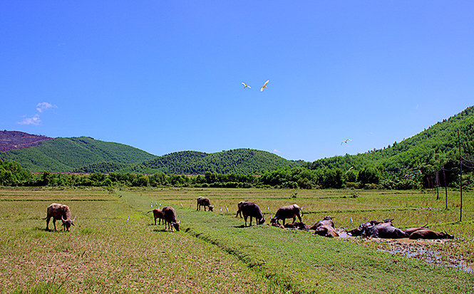 Khúc giao mùa