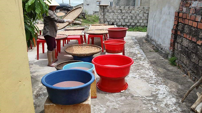 Mặn mòi ruốc biển Lý Hòa
