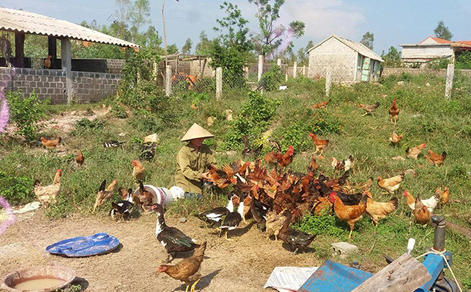 Khởi nghiệp từ mô hình VAC