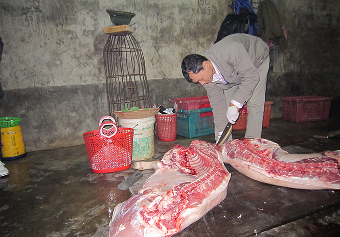 Tình trạng tiêm thuốc an thần vào lợn trước khi giết mổ: Cần quản lý chặt