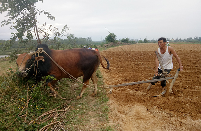 Hết lòng vì công tác hội