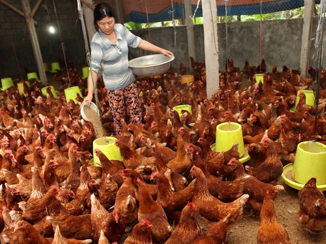 Tổng nguồn vốn dành cho tín dụng chính sách đạt 179.877 tỷ đồng