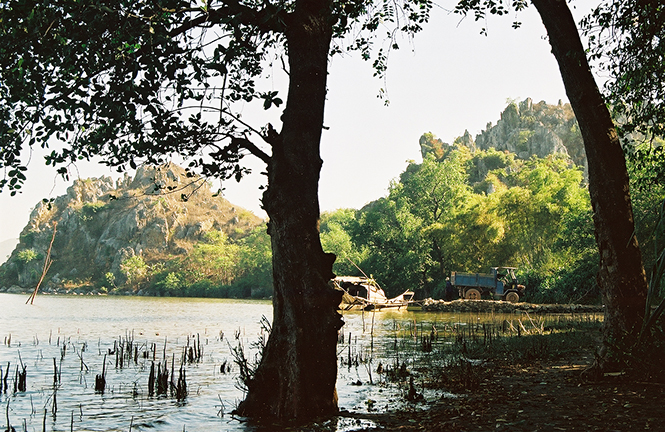 Rặng bần bên dòng Đại Giang