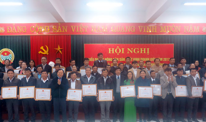 Biểu dương 60 nông dân sản xuất, kinh doanh giỏi tiêu biểu