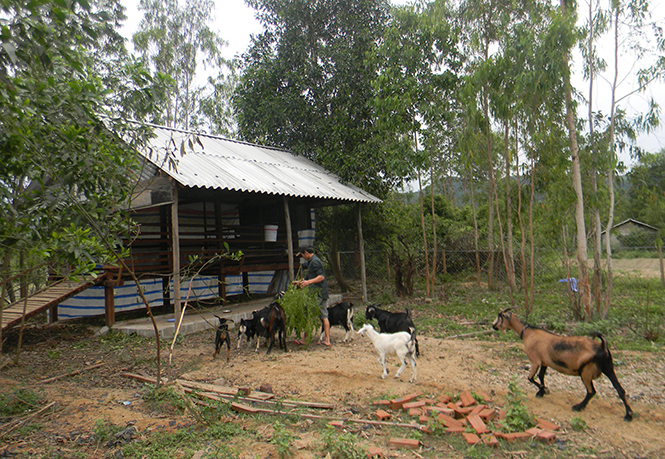 Tuyên Hoá: 16 trang trại đạt tiêu chí