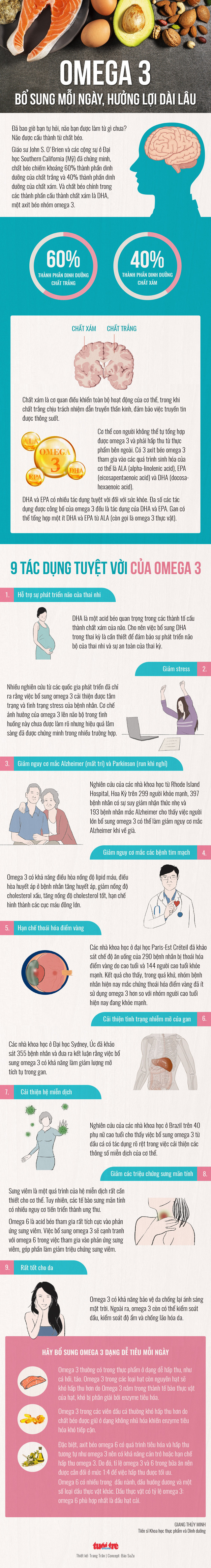 Có bao giờ bạn hỏi não được cấu thành từ chất gì?