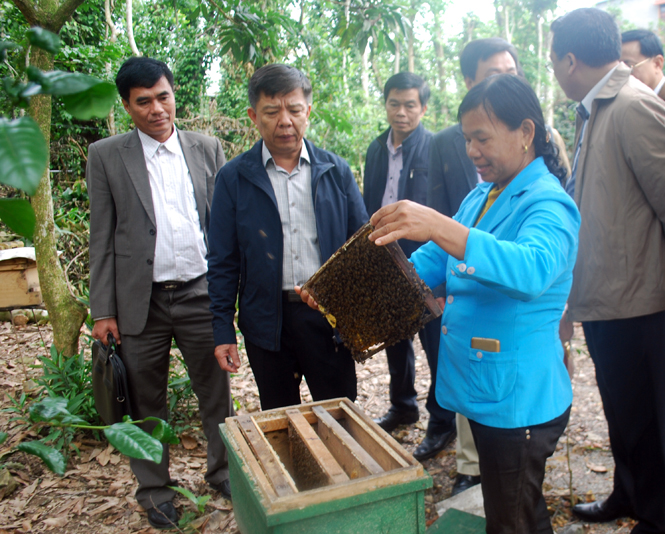 Xã miền núi Trường Xuân cần huy động mọi nguồn lực để giảm nghèo bền vững