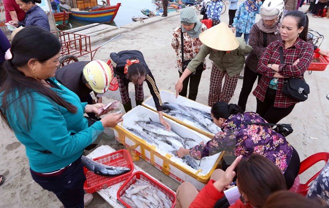 Phê duyệt giải pháp khắc phục 'thẻ vàng' của EU về khai thác thủy sản