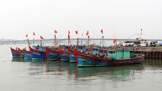 Vững vàng vượt "sóng cả"