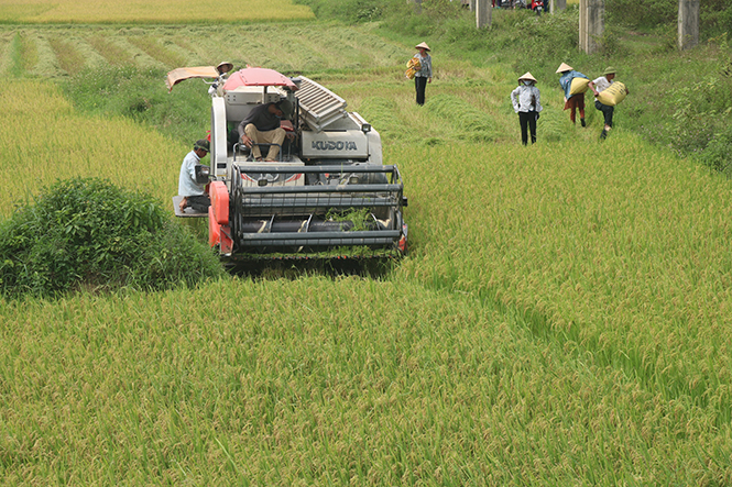 Tuyên hóa: Tăng 23 tiêu chí nông thôn mới