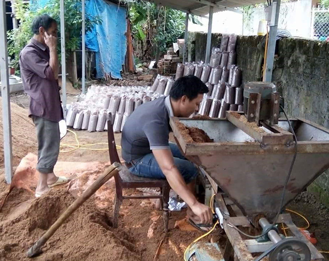 Kỳ vọng từ máy đóng bịch phôi nấm bằng trục xoắn