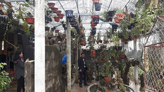 Lệ Thủy: Đào tạo nguồn lực cho nông thôn mới