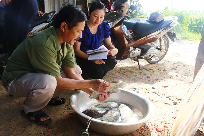 Tái cơ cấu nông nghiệp từ các mô hình khuyến ngư