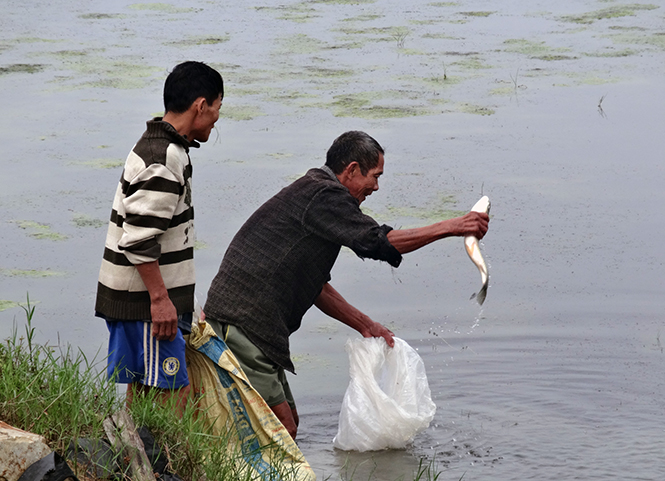 Phú Trạch, sau ba năm "đòi" lại đất