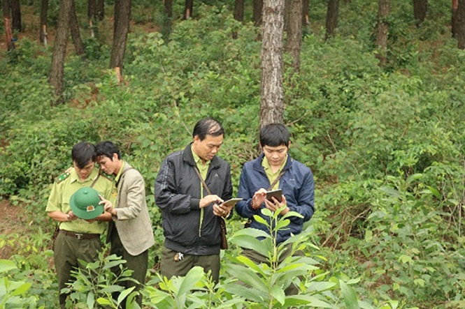 Để triển khai REDD+ hiệu quả