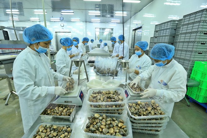 Xuất khẩu của Việt Nam khả năng vượt 212 tỷ USD trong năm 2017