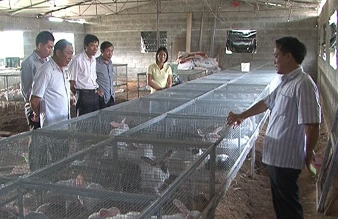 Quảng Ninh: Trên 10.000 hộ nông dân sản xuất kinh doanh giỏi
