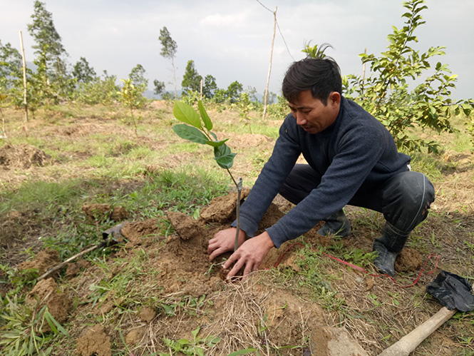 Quyết tâm làm giàu
