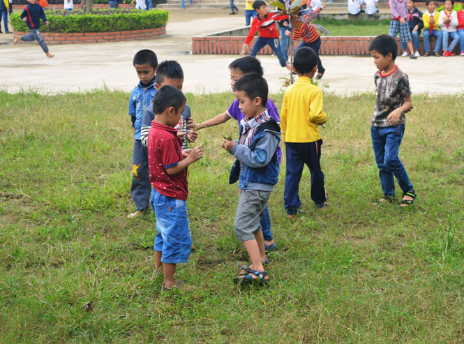 Quảng Bình chưa đạt mức sinh thay thế